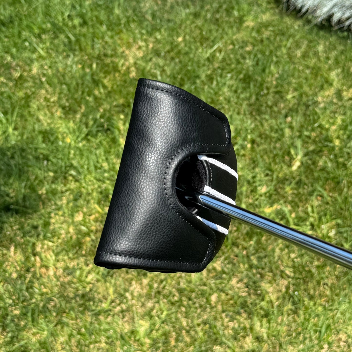 DT 31.6 Putter